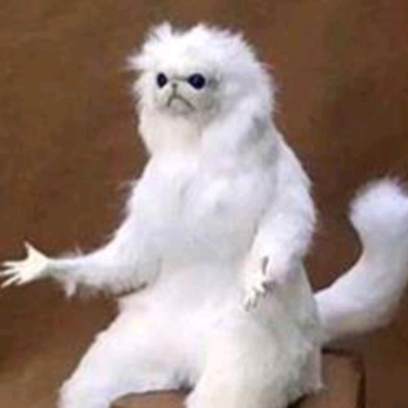 Meet your Posher, Monique - Picture 1 of 1